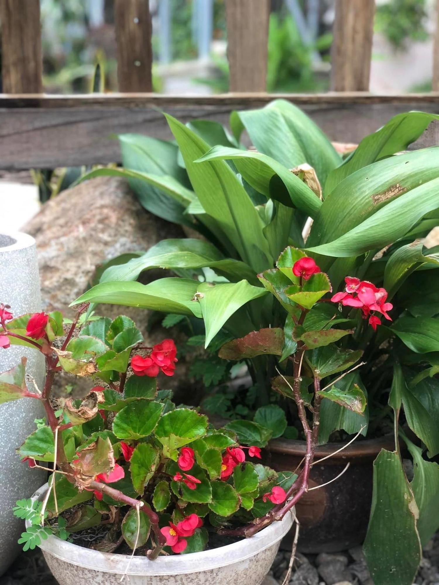Tran Gia Homestay Nghia Lo 外观 照片