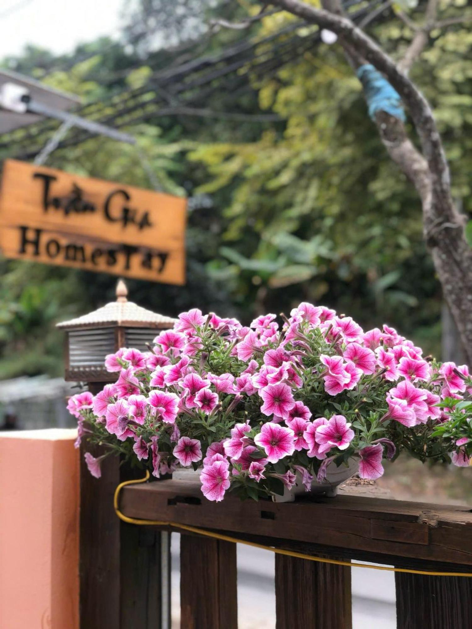Tran Gia Homestay Nghia Lo 外观 照片