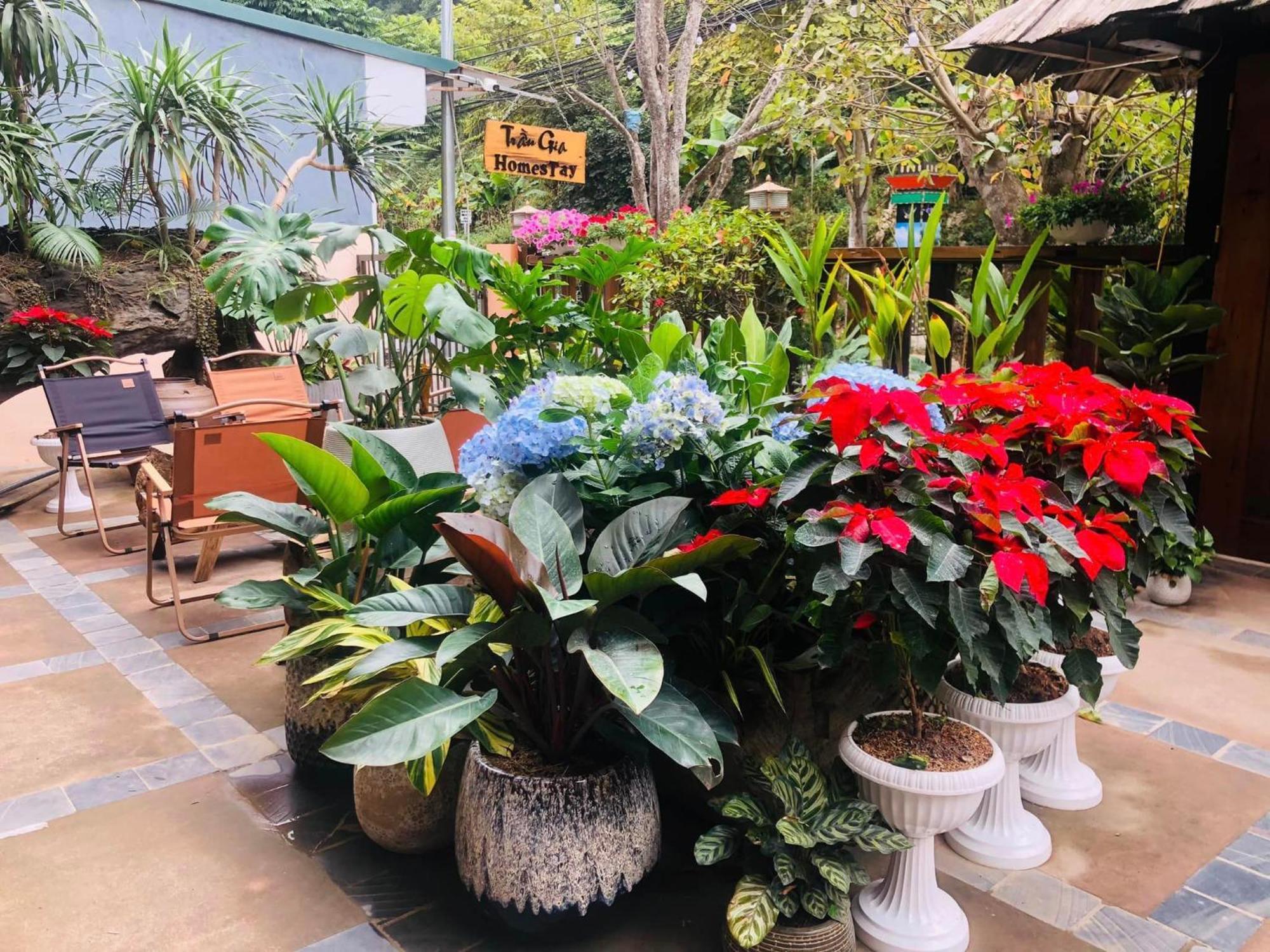 Tran Gia Homestay Nghia Lo 外观 照片